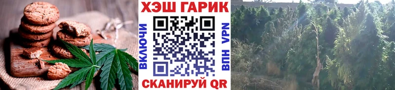 блэк спрут   Трубчевск  Печенье с ТГК марихуана  цены  
