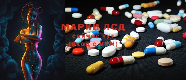 таблы Богородицк