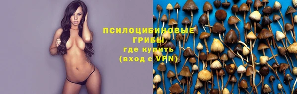 мяу мяу кристалл Богданович