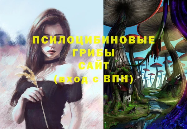 a pvp Богородск