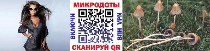Псилоцибиновые грибы прущие грибы  Трубчевск 